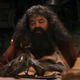 El semigigante Rubeus Hagrid.